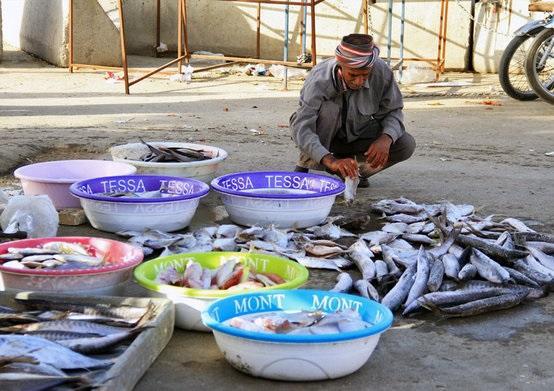16 ماهی فروشی بوشهر تعطیل شدند
