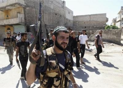 بیش از 80 درصد مردم کانادا مخالف ارسال سلاح به معارضین سوری هستند
