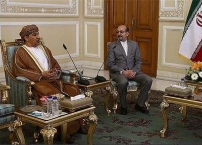 سفیر عمان: عربستان به دنبال تحت الشعاع قرار دادن توافق هسته ای است