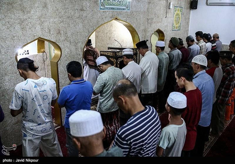 گزارش خبرنگار اعزامی خبرنگاران از اندونزی، توجه ویژه اندونزیایی گزارش خبرنگار اعزامی خبرنگاران از اندونزی، توجه ویژه اندونزیایی ها به برگزاری مراسم عید قربان