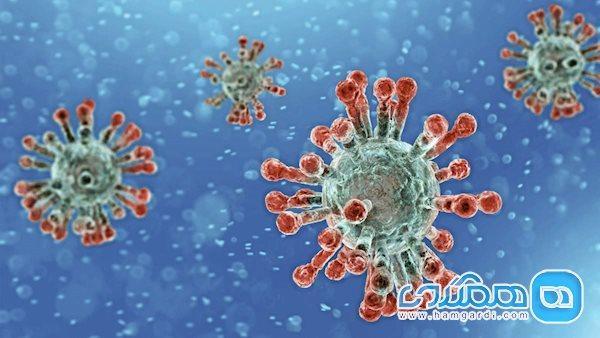 کرونا منجر به گرفتگی عروق بدن می شود کرونا منجر به گرفتگی عروق بدن می گردد