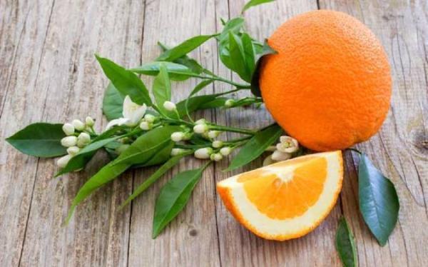 خواص نارنج برای سلامت بدن