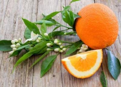 خواص نارنج برای سلامت بدن