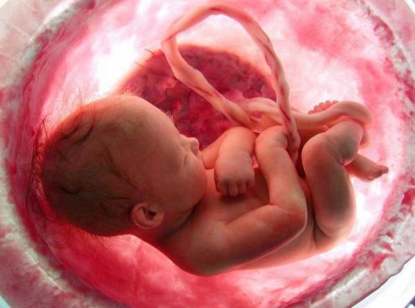 چطور می توان هوش جنین را افزایش داد؟