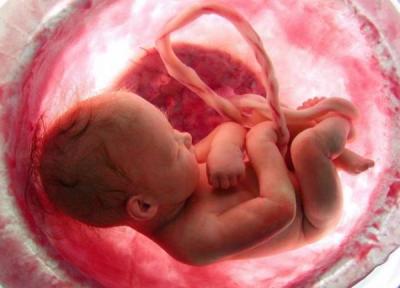 چطور می توان هوش جنین را افزایش داد؟