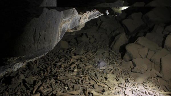 کشف استخوان انسان در عربستان