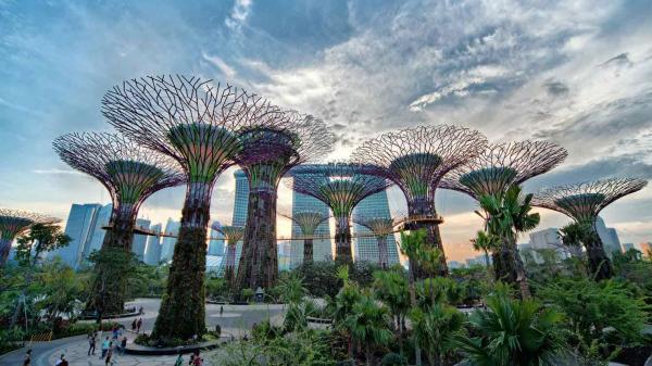 تور سنگاپور ارزان: دیدنی های سنگاپور از نگاهی نزدیک تر
