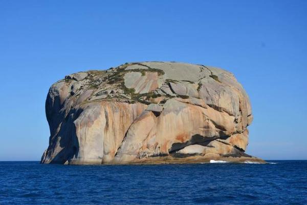 تور ارزان استرالیا: با جزیره اسکال راک در استرالیا آشنا شوید
