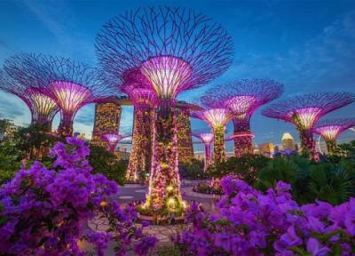 افزایش علاقه گردشگران به سنگاپور در سال 2017 (تور سنگاپور)
