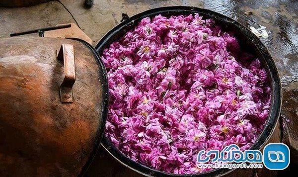برگزاری جشنواره گلاب گیری تا 10 خرداد در محوطه کاخ مروارید