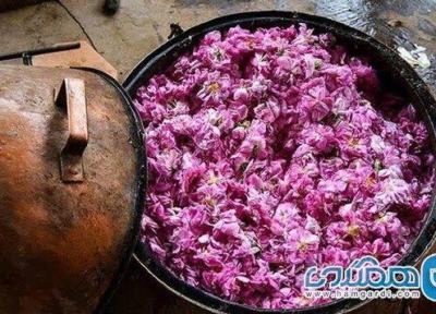 برگزاری جشنواره گلاب گیری تا 10 خرداد در محوطه کاخ مروارید