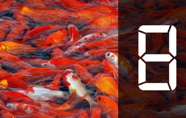 رادیو پل: خیال های کودکی رادیو پل: خیال های کودکی