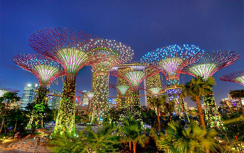 Supertrees درختان غول پیکر سنگاپور